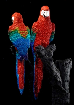 Jewelry Parrot